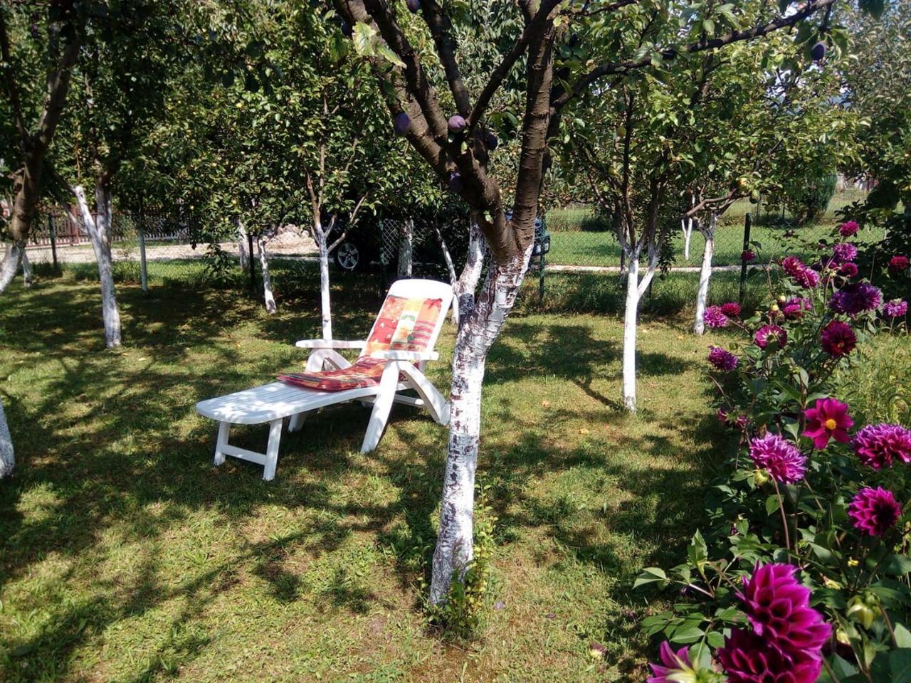 Sunny Paradise Bihac Luaran gambar